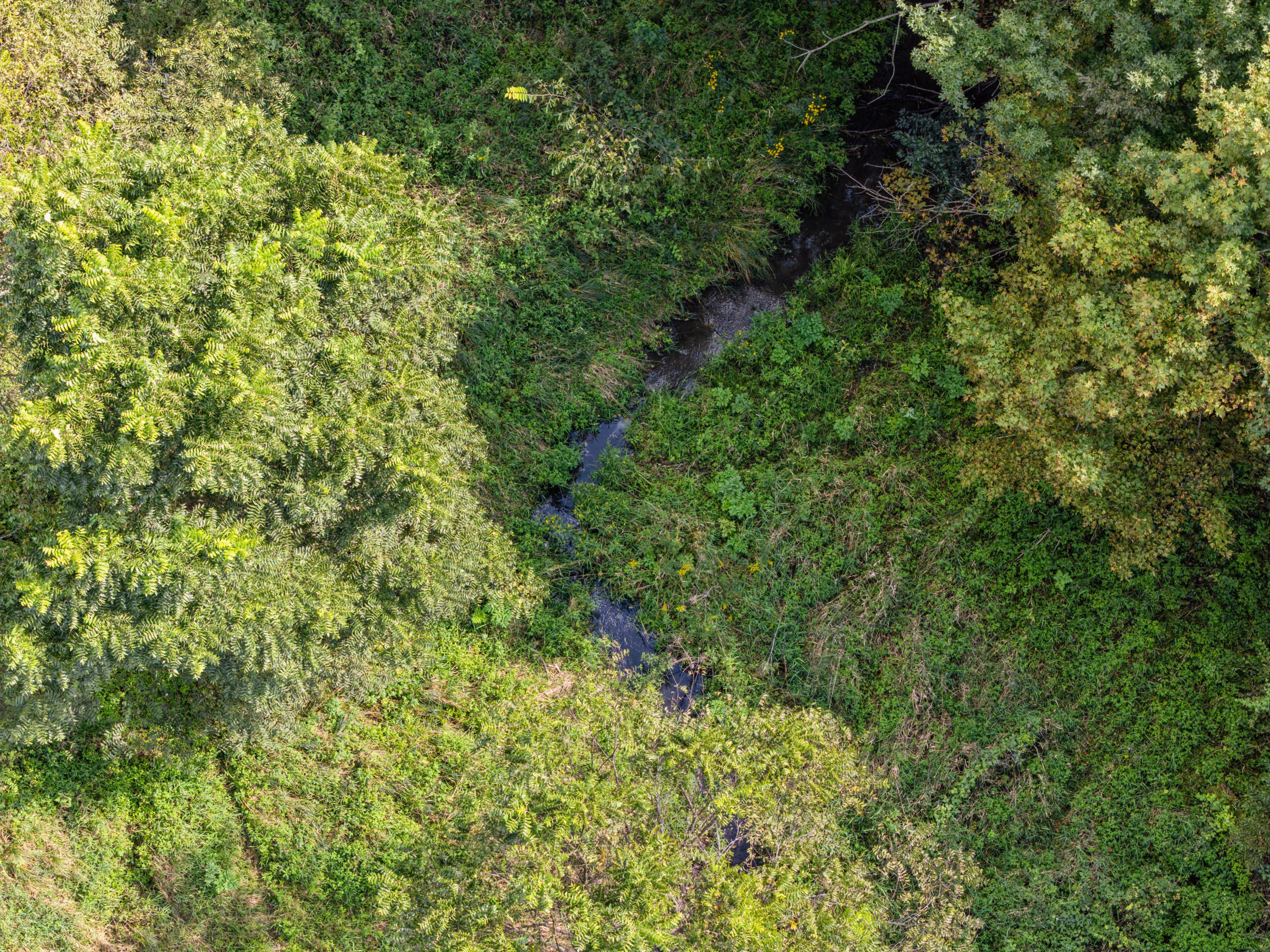 Listing Photo: 48-508 7985 Spore Rd Drone